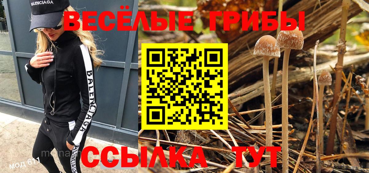 Псилоцибиновые грибы Psilocybe Калуга