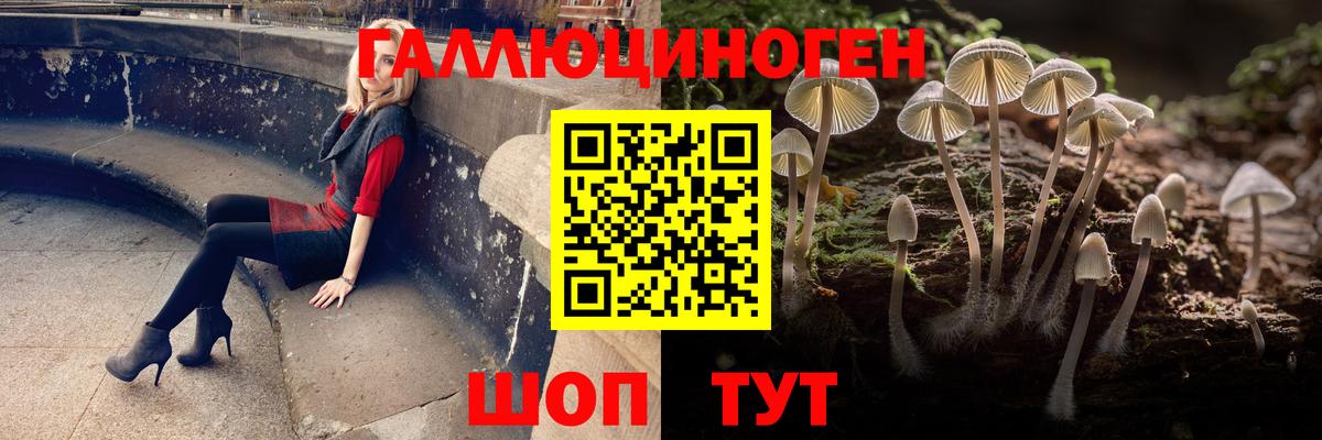 Калуга  Псилоцибиновые грибы GOLDEN TEACHER  Вход с VPN 